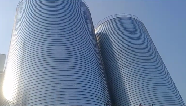 盈江2座混凝土高架卷板仓